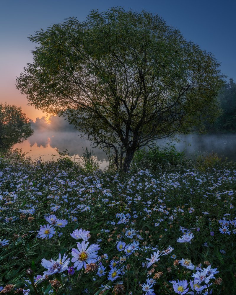 Фотография автора Мартыненко Дмитрий
