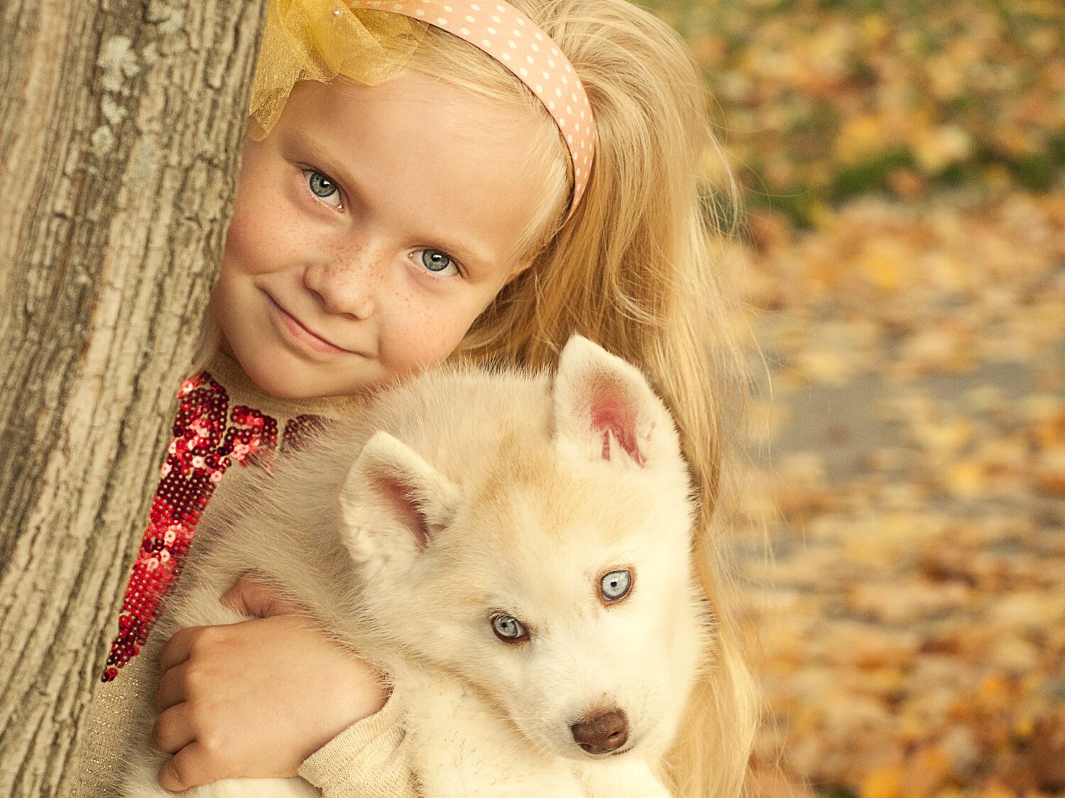 Photo #5074594