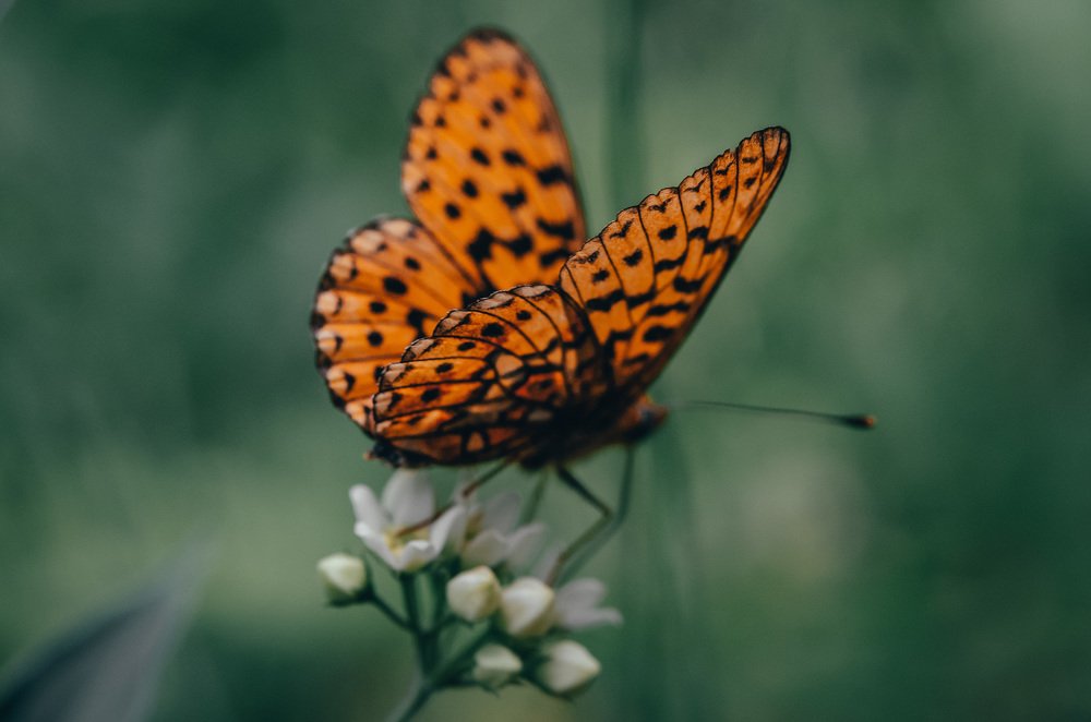 Photograph by Денис Белов