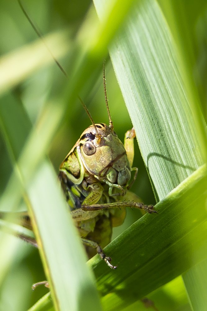 Photograph by Александр Щербаков