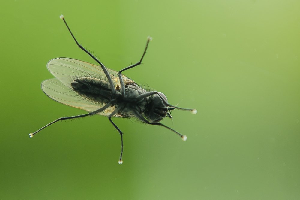 Photograph by Александр Щербаков