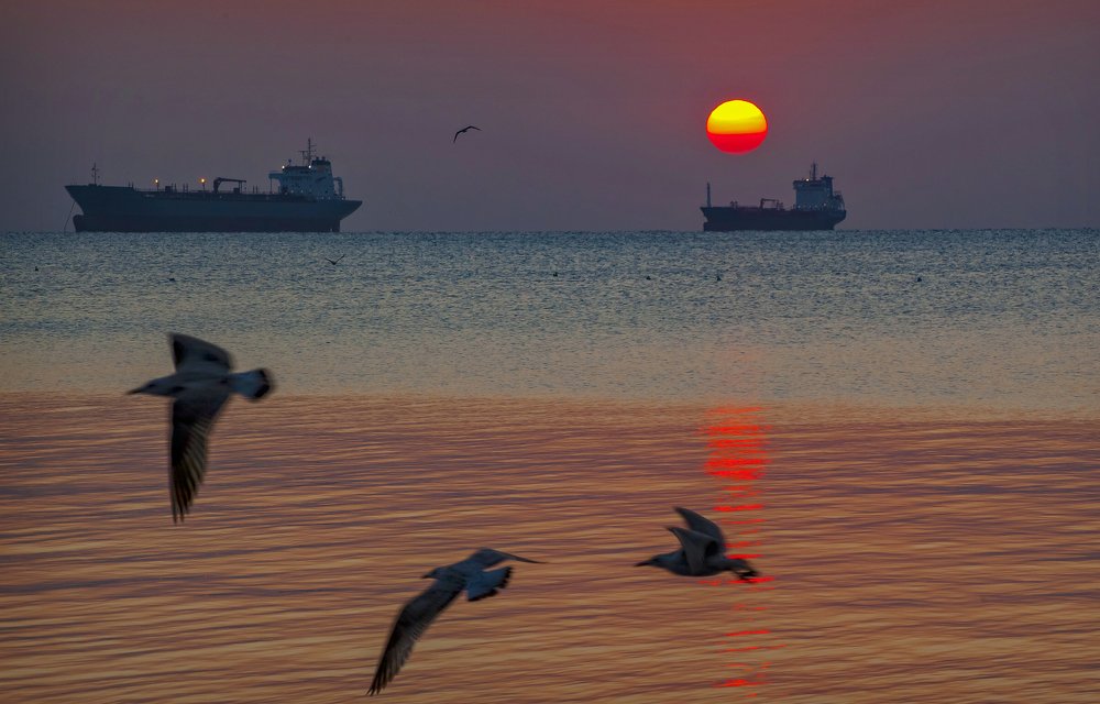 Photograph by Сычев Эдуард