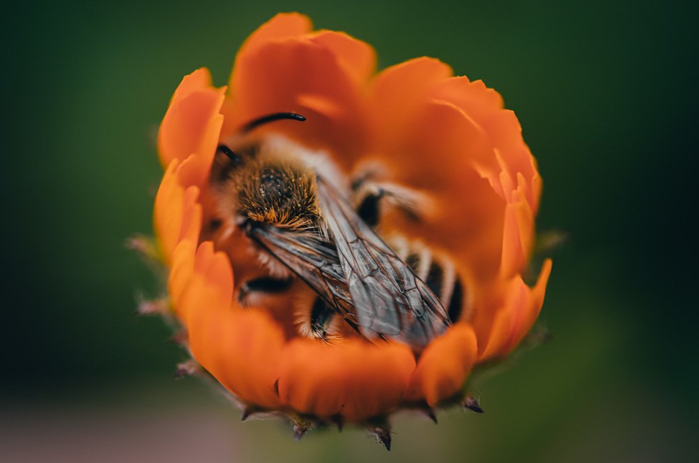 Photograph by Денис Белов