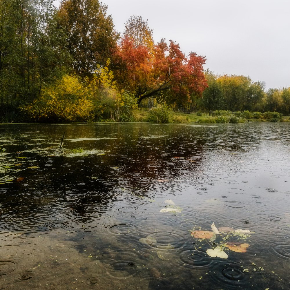 Фотография автора Мартыненко Дмитрий