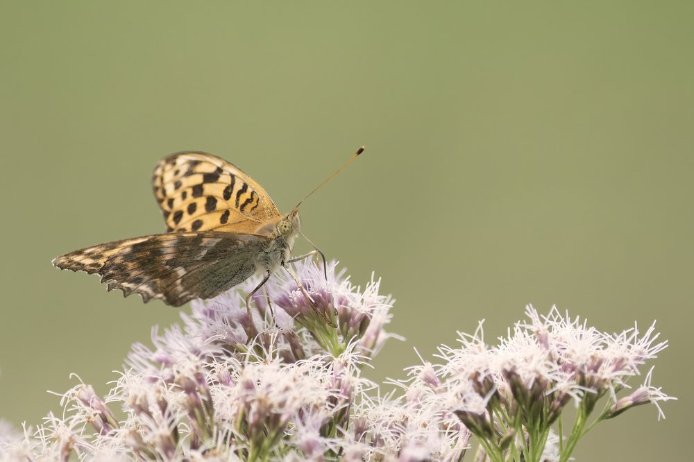 Photograph by Ernestas Balcikonis