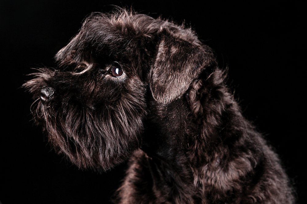 Photograph by Ирина Бобрешова