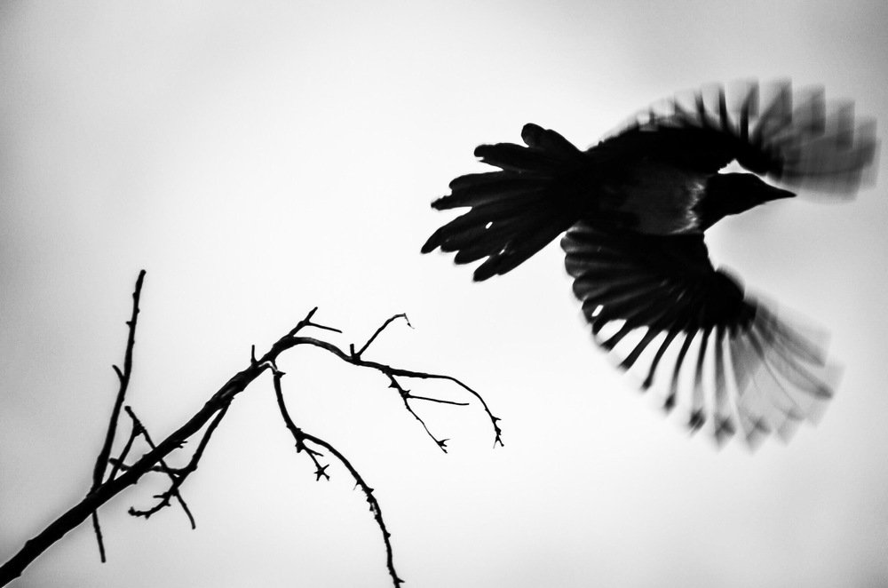 Photograph by Денис Белов