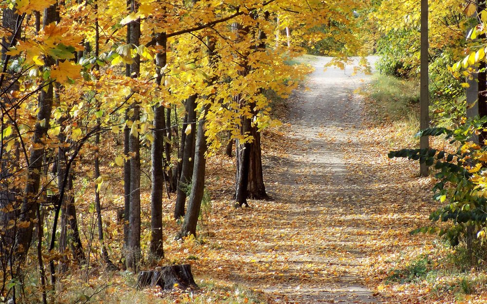 Photograph by Сергей Рудаков