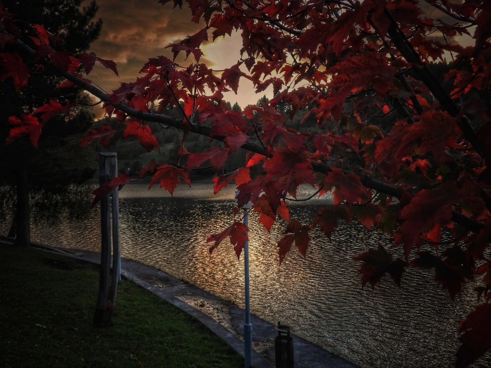 Photograph by Davorin Jurković