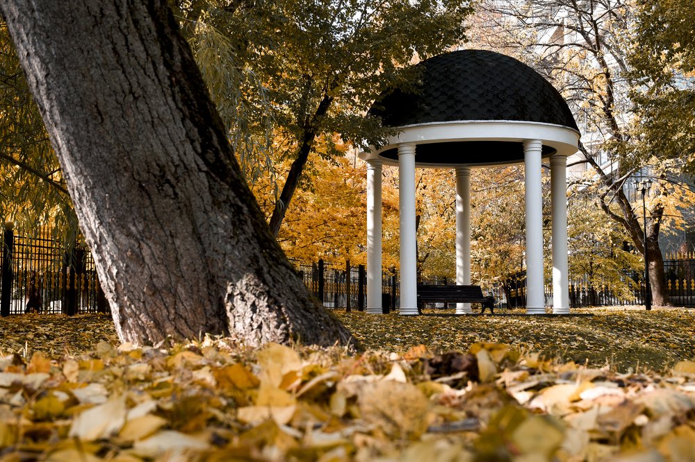 Photograph by Olga Yankus