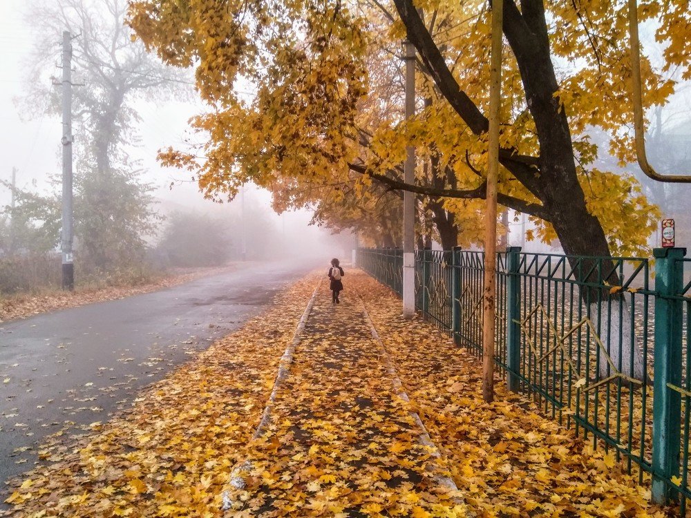 Photograph by Денис Лащ