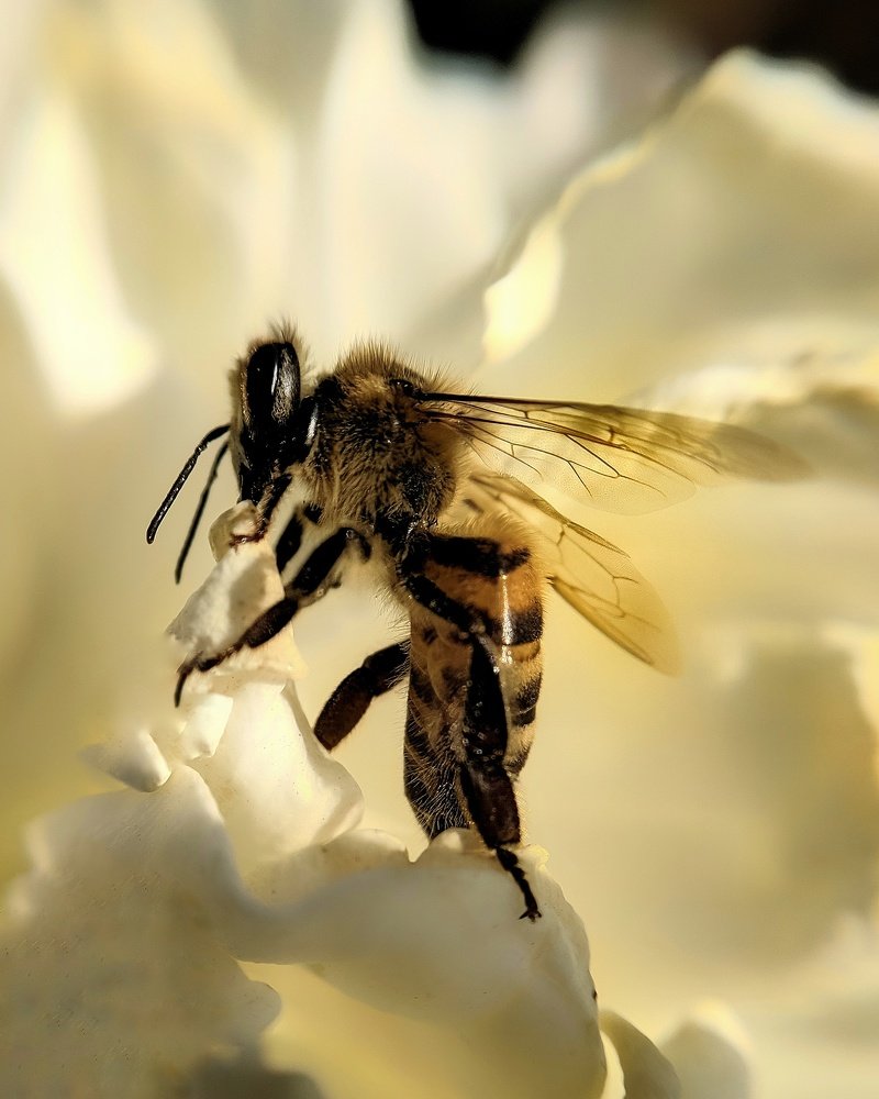 Photograph by Светлана Смирнова