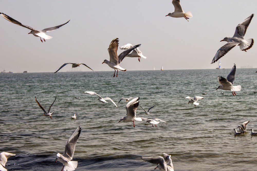 Photograph by Денис Лащ