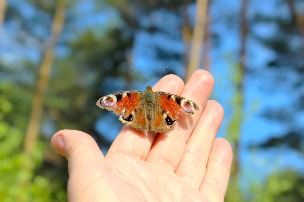 Photograph by Валентина Болотова
