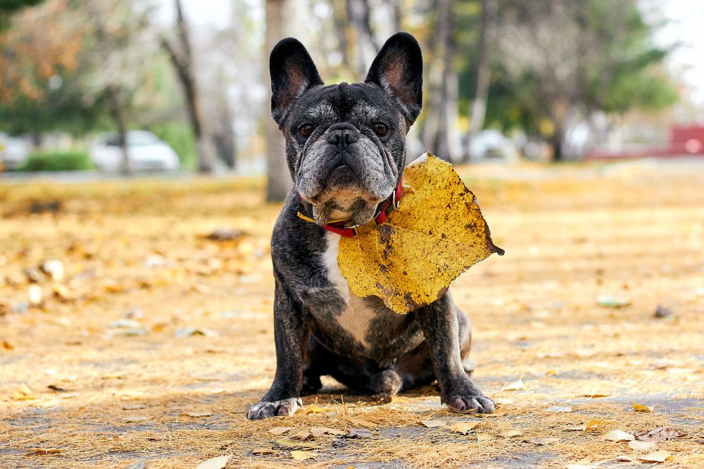 Photograph by Константин Кузнецов