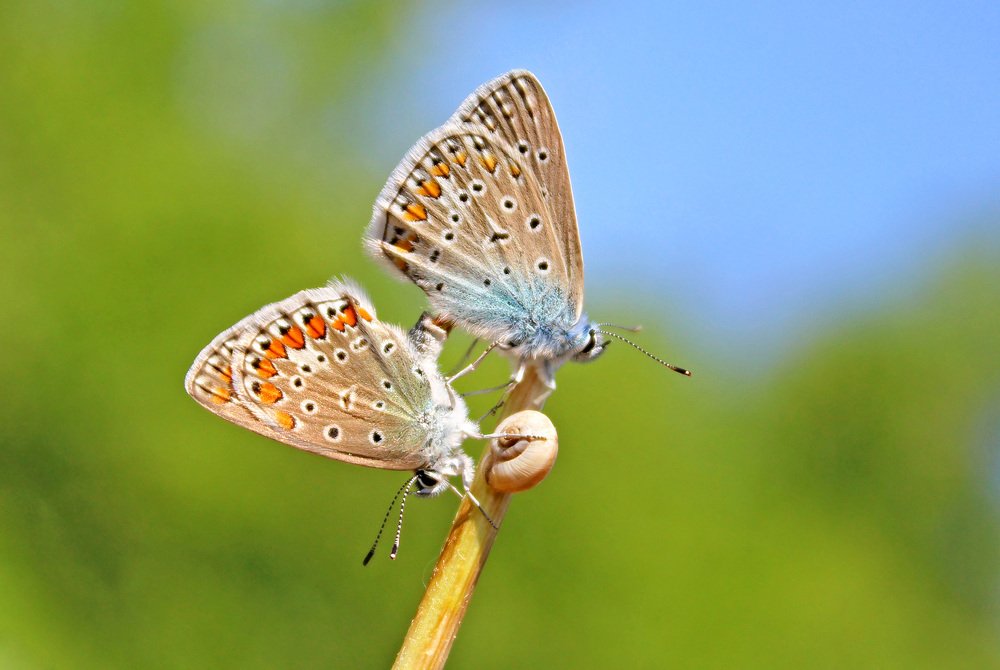 Photograph by Валентина Болотова