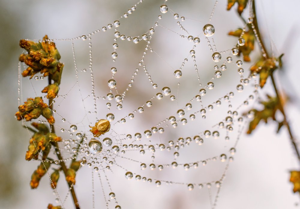 Photograph by Чепленко Алексей