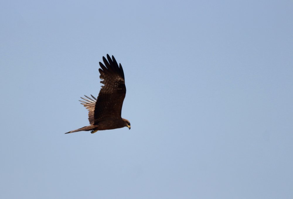 Photograph by Rijas Galleria