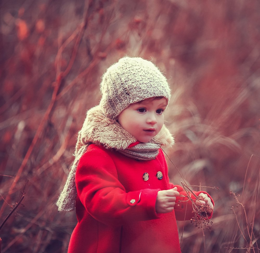 Photograph by 