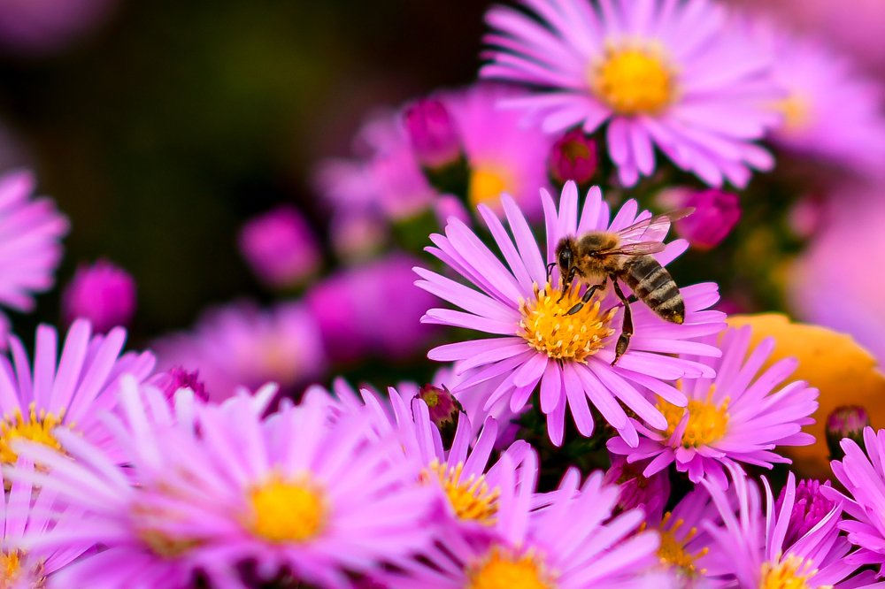 Photograph by Анастасия Донская