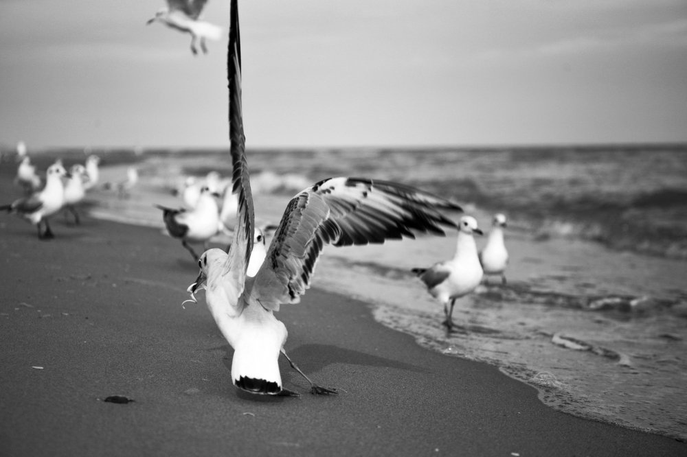 Photograph by Mira Mumina