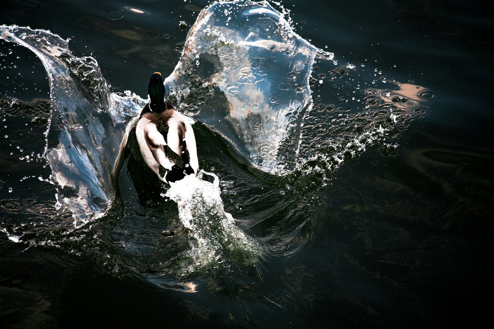 Photograph by Mira Mumina