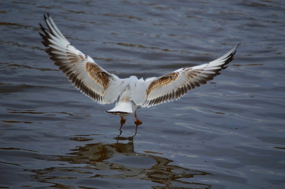 Во всей красе