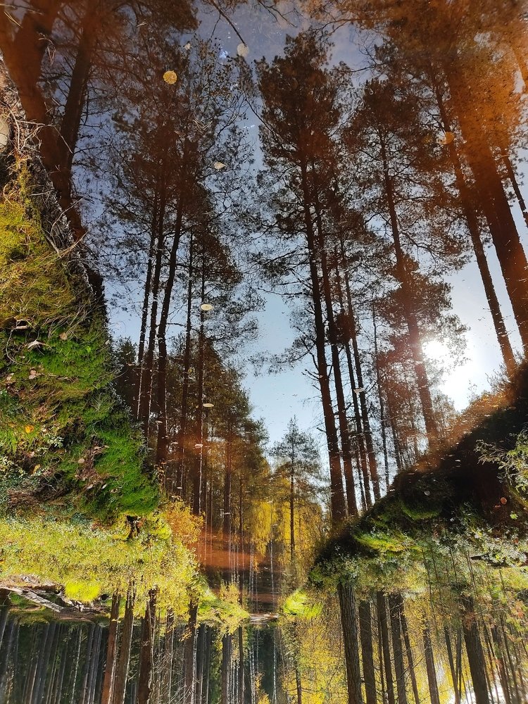 Центр Земли