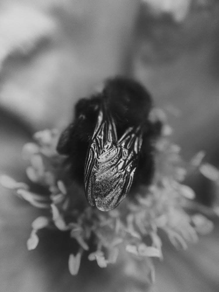 Photograph by Ирина Львова