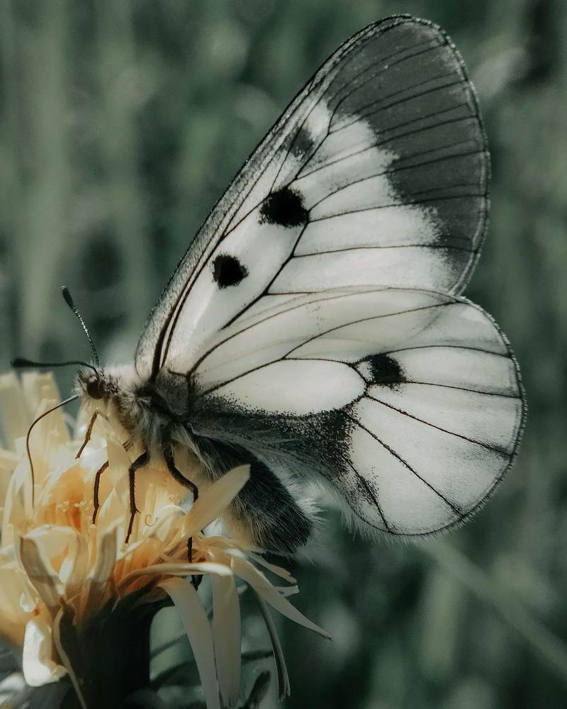 Photograph by Ирина Львова