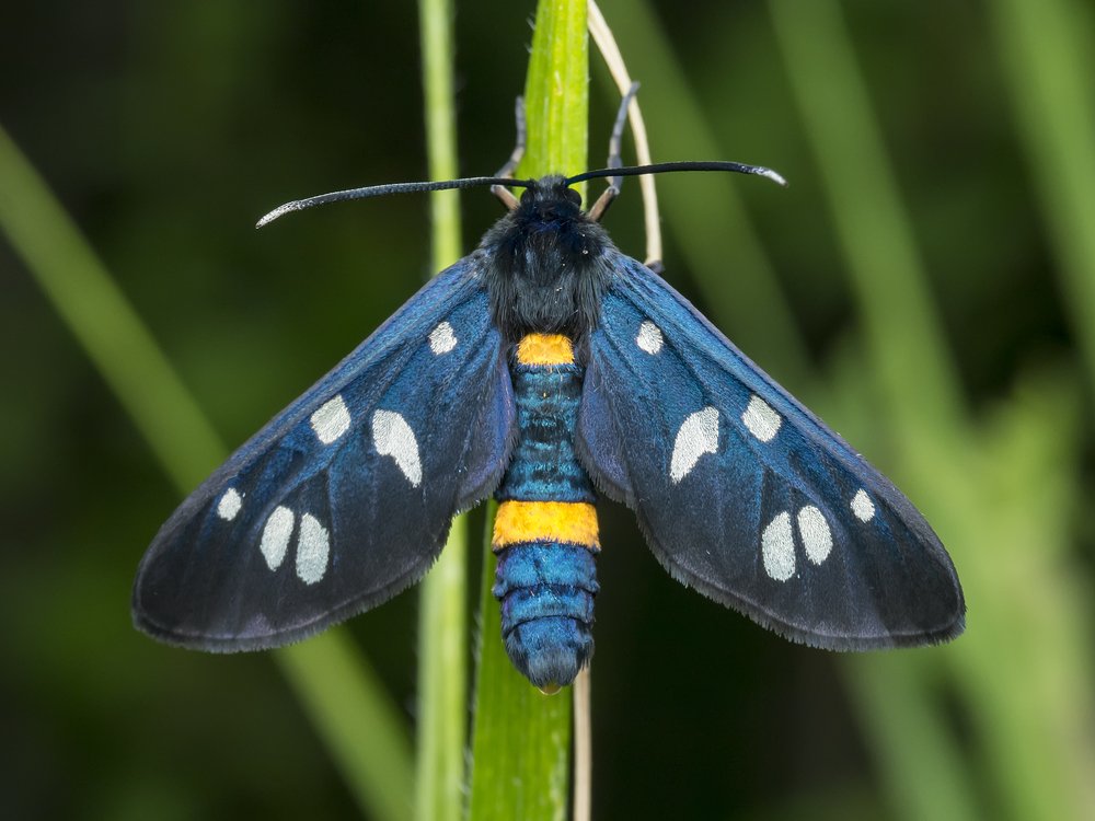 Photograph by Владимир Богданов