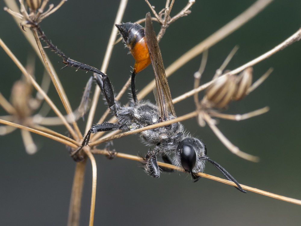 Photograph by Владимир Богданов
