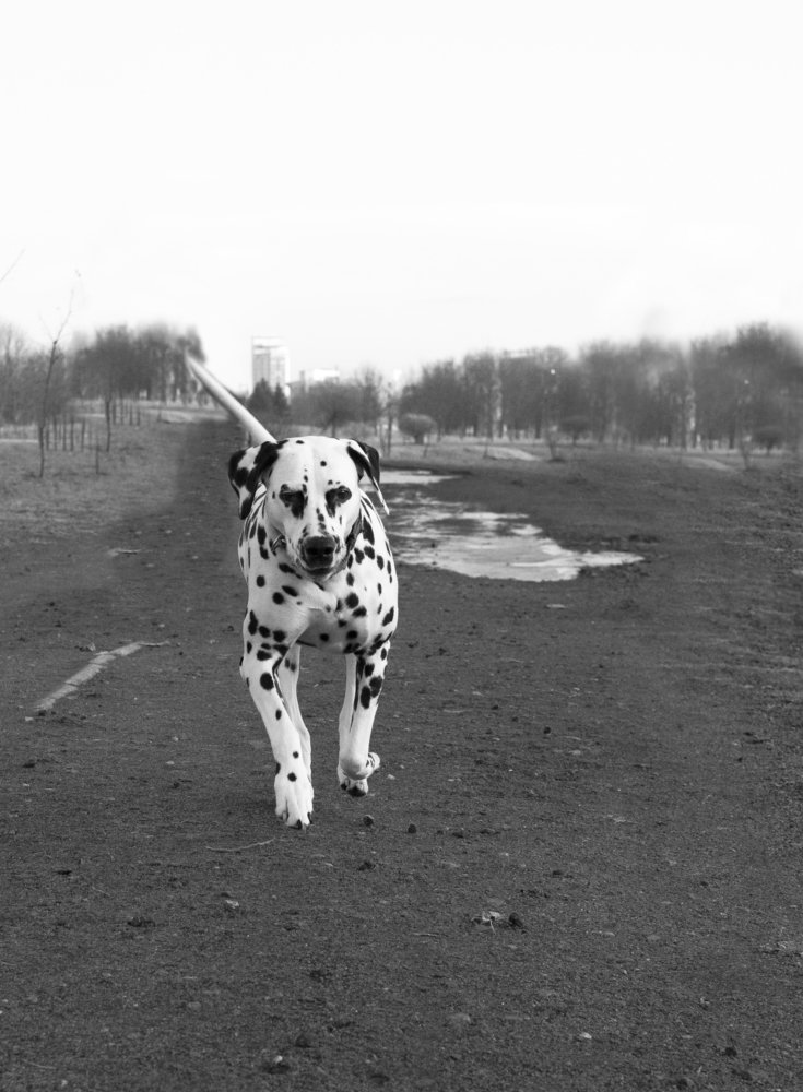 Photograph by Mira Mumina