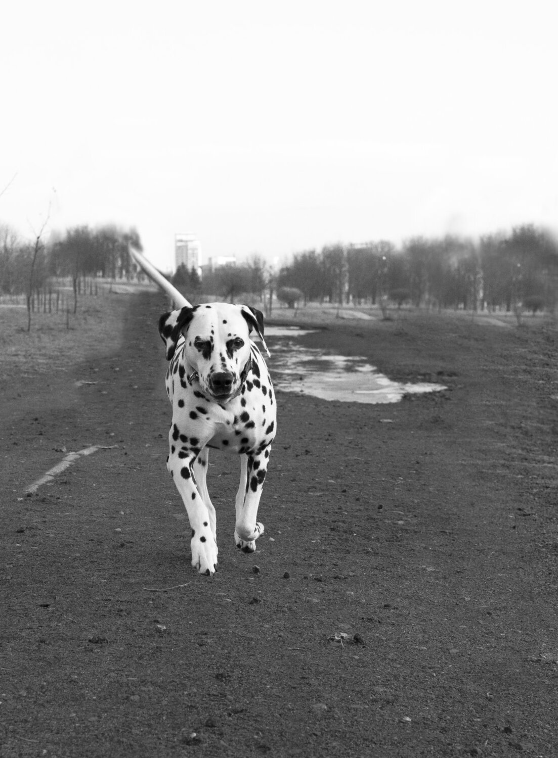 Photo #5075217