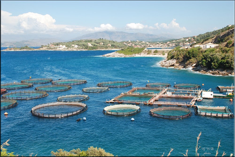 Photograph by Gordana Nikolovska-Dimeska