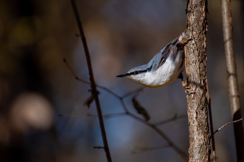 Photograph by Кузнецов Дмитрий