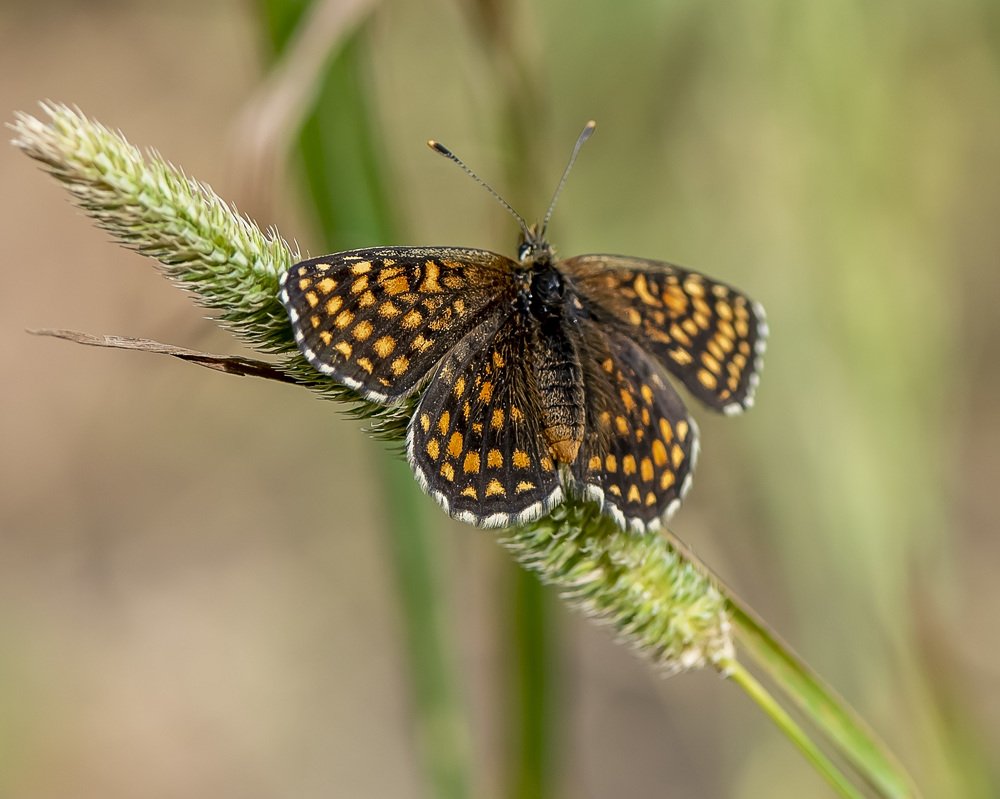 Photograph by Данил Артыков