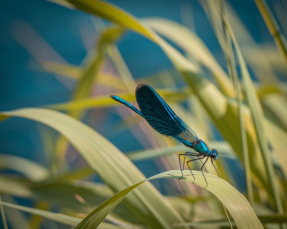 Photograph by Данил Артыков