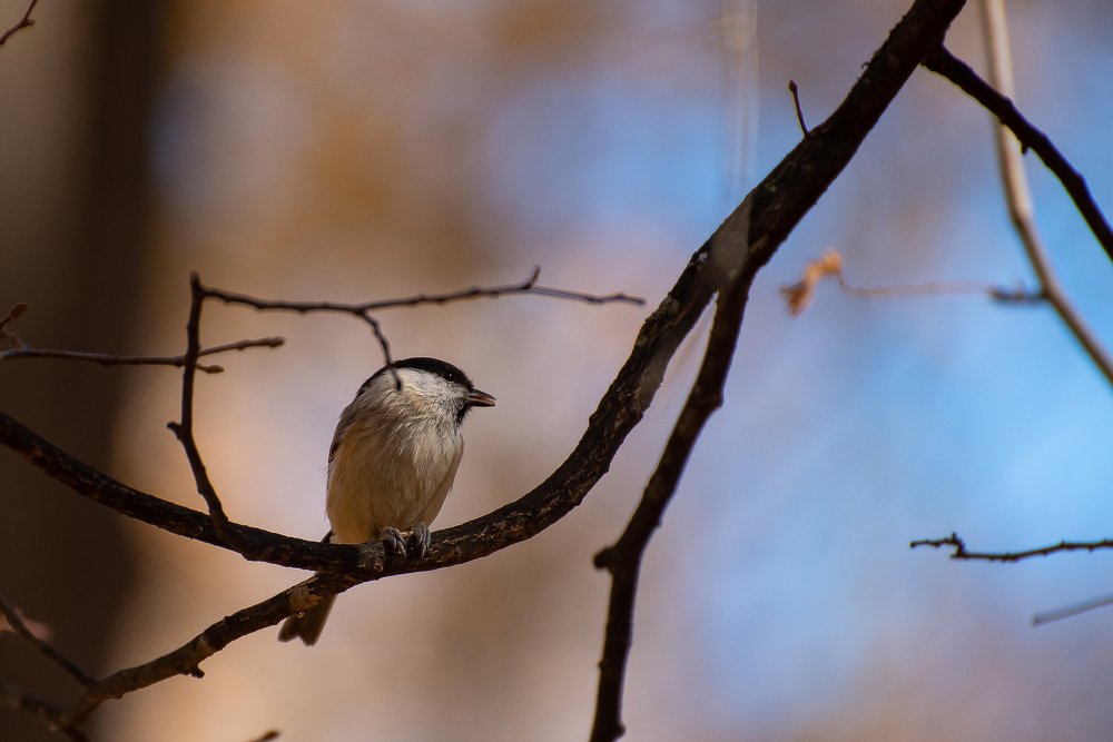 Photograph by Кузнецов Дмитрий