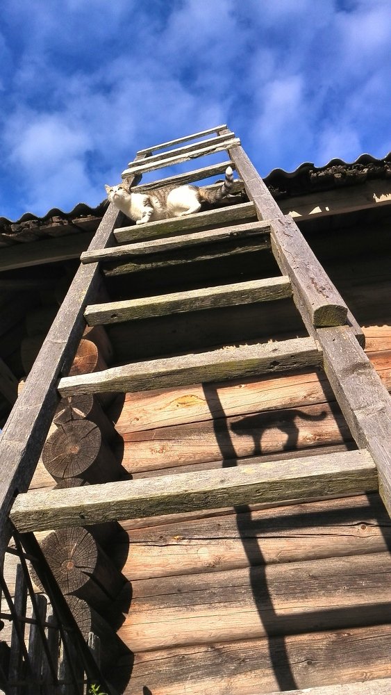 Двое: я и моя тень