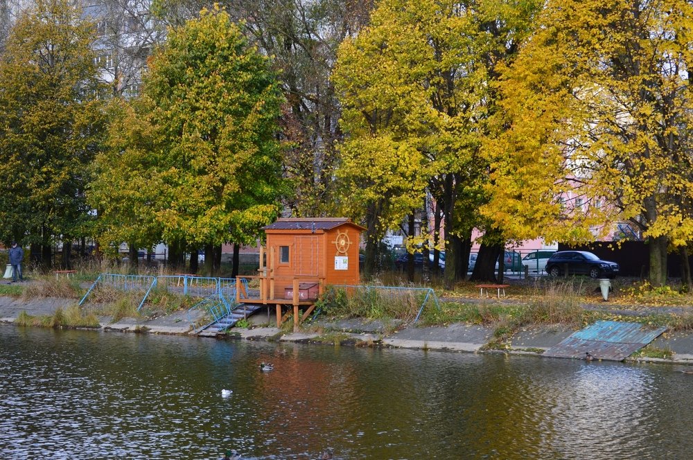 Уютная осень