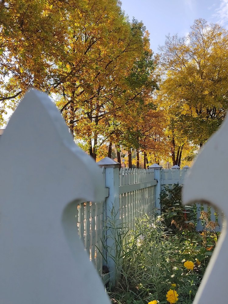 Золотые деревья