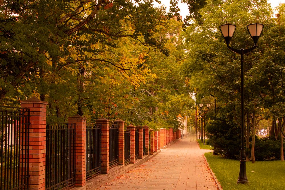 Осень в городе