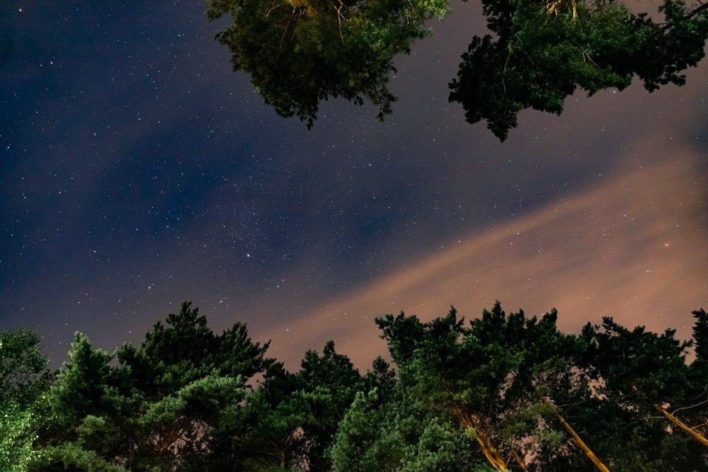 Летняя ночь