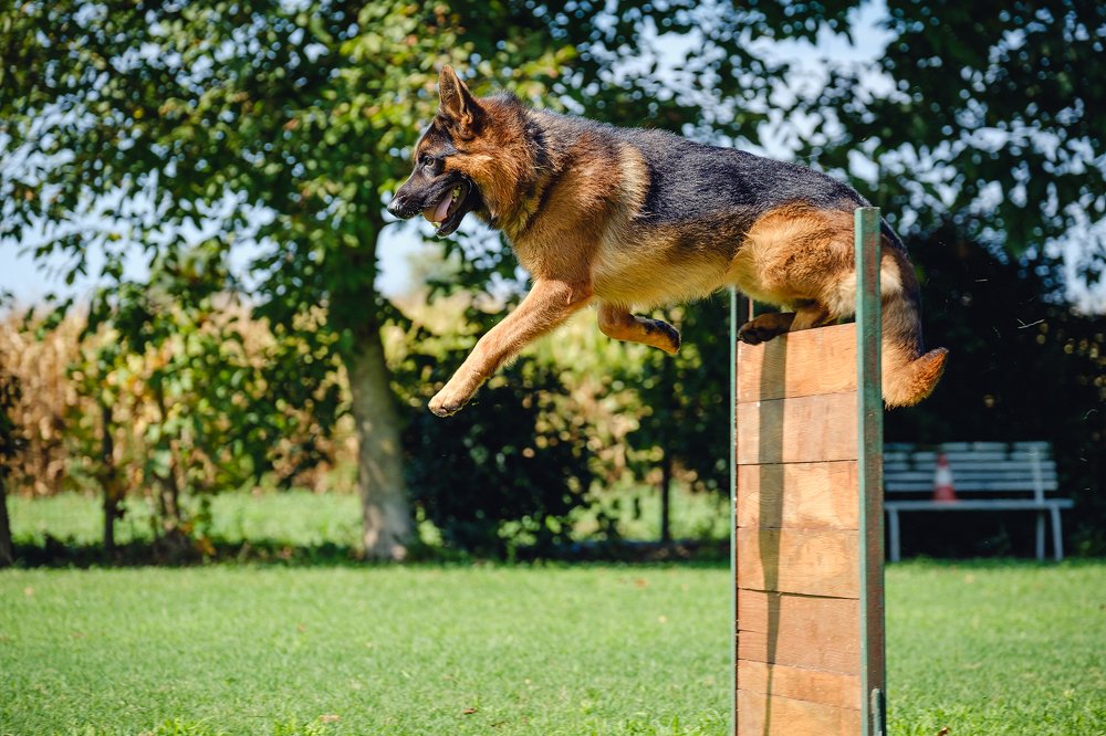 Photograph by Anatolie Burdeniuc