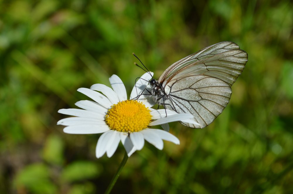 Восстановление