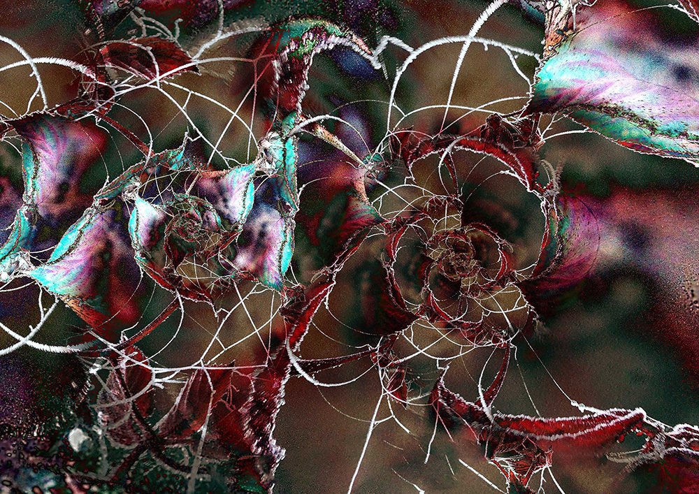 Photograph by Marie Ange Van Meyel