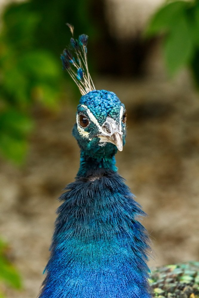 Photograph by Юлия Долгина