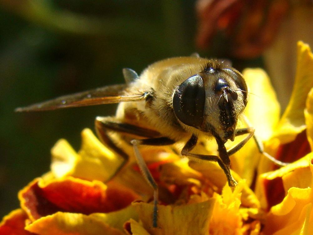 Фотография автора Павел Попов