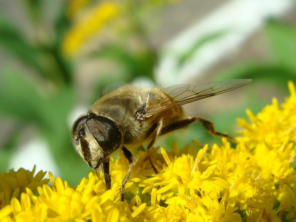 Фотография автора Павел Попов